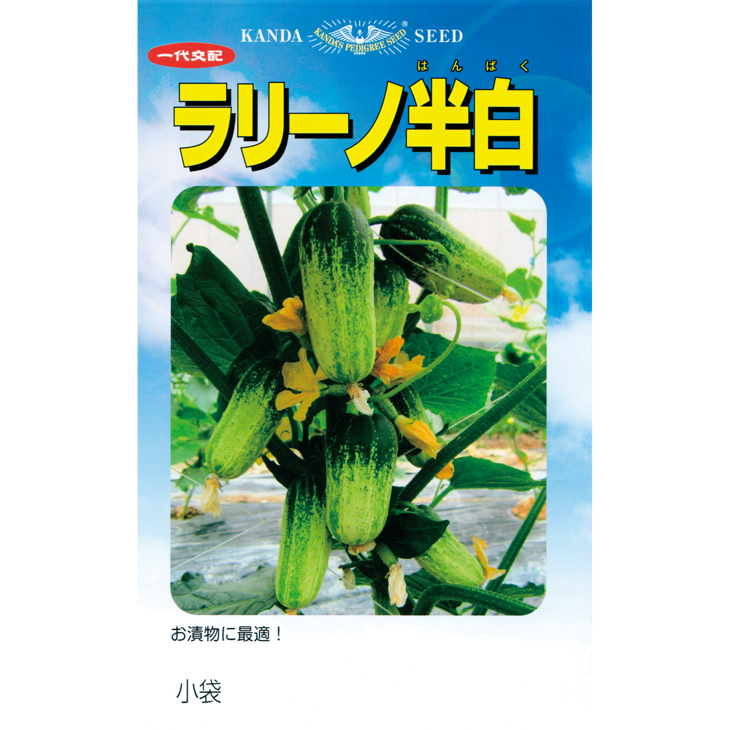 ラリーノ半白(超ミニキュウリ)