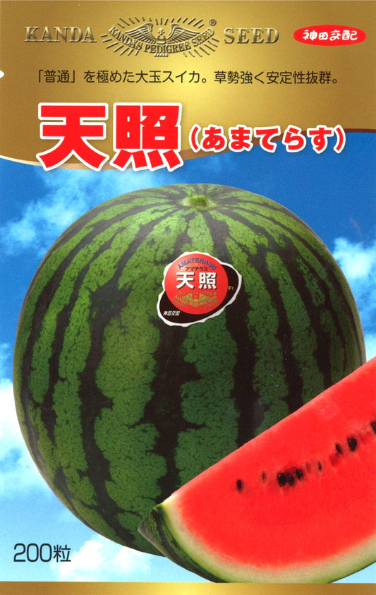 天照（あまてらす）小袋