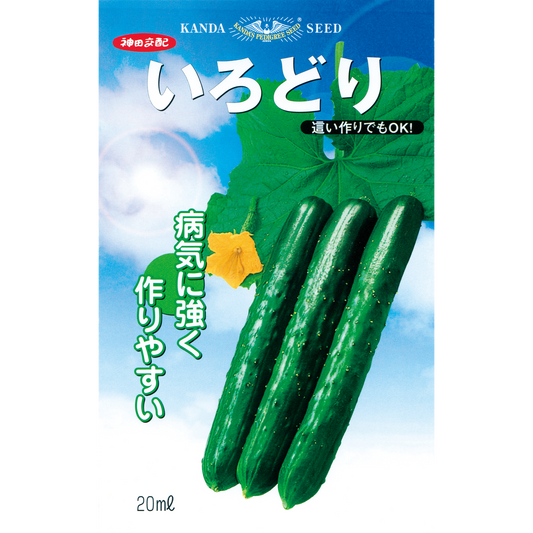 きゅうり – 神田育種農場オンラインショッピング きゅうり – 神田育種農場オンラインショッピング