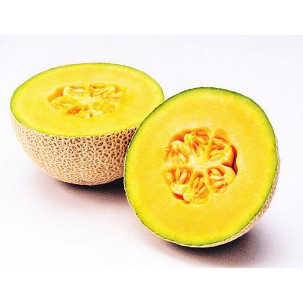 RM-84 – 神田育種農場オンラインショッピング